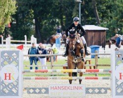 jumper Calle 123 (Oldenburg show jumper, 2017, from L.b. Casanova)