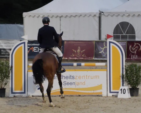 Reitturnier Karlsfeld/Obb. 2024