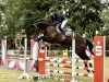 jumper Balouvanti (Oldenburg show jumper, 2019, from Balou du Rouet)