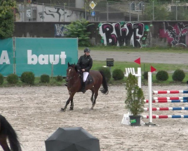 Reitturnier Basel 2024