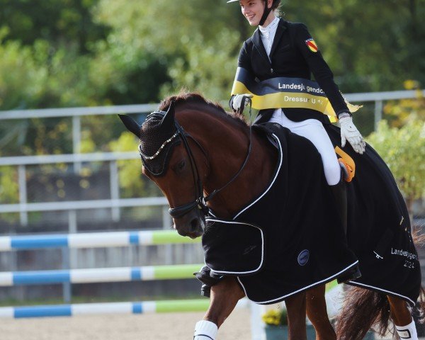 dressage horse Nusspli M (German Riding Pony, 2016, from No Limit)