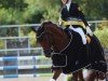 dressage horse Nusspli M (German Riding Pony, 2016, from No Limit)