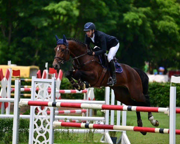 jumper Marley 41 (Holsteiner, 2019, from Million Dollar)