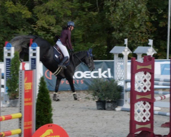 Reitturnier Karlsfeld/Obb. 2024