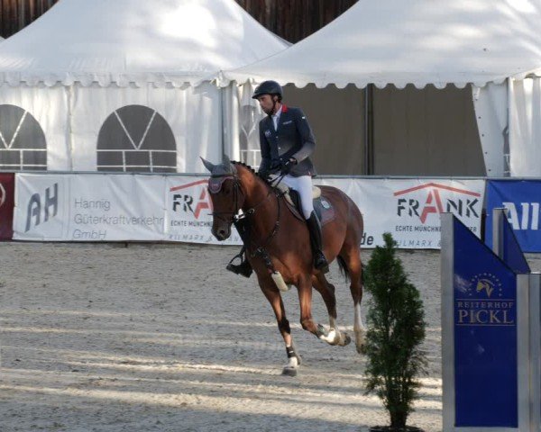 Reitturnier Karlsfeld/Obb. 2024