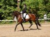 dressage horse San Forrest (Mecklenburg, 2008, from San Schufro)