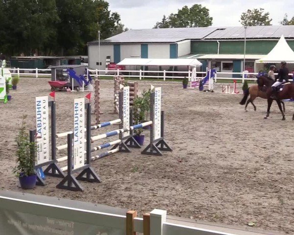 Reitturnier Mildstedt - Jumping Team Nord - 2024