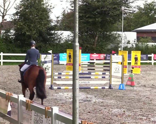 Reitturnier Mildstedt - Jumping Team Nord - 2024