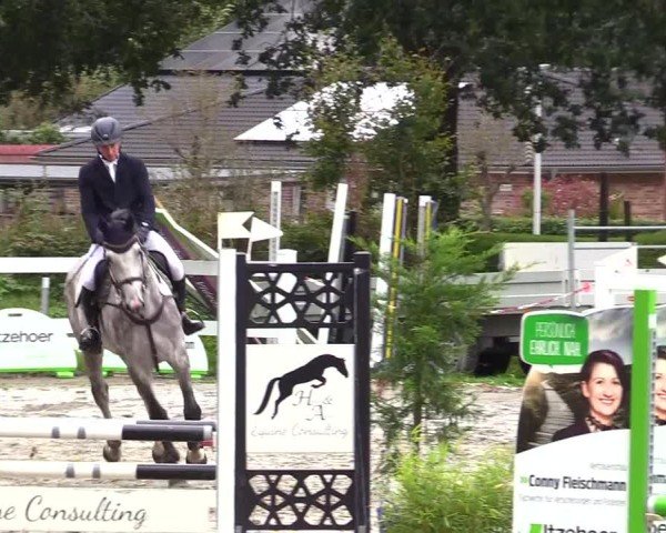 Reitturnier Mildstedt - Jumping Team Nord - 2024