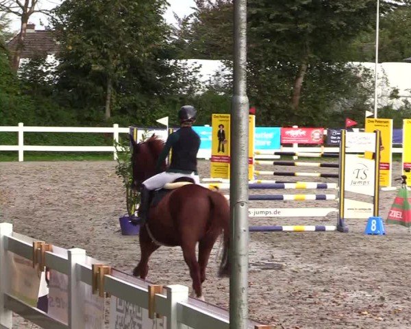 Reitturnier Mildstedt - Jumping Team Nord - 2024