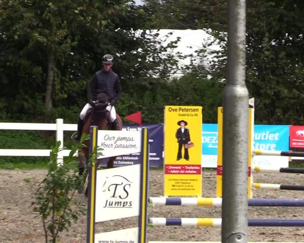 Reitturnier Mildstedt - Jumping Team Nord - 2024