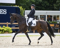 dressage horse Fresh From PS (Hanoverian, 2018, from Fürstenball)