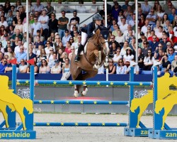 Pferd Luisa (Irish Sport Horse, 2018, von Luidam)