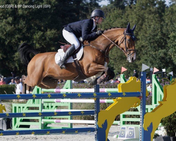 jumper Bp Dancing Light (Irish Sport Horse, 2018, from Cinsey)