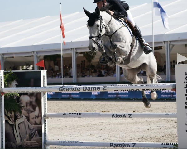 jumper Mambo Nr 5 B (KWPN (Royal Dutch Sporthorse), 2017, from Napels)