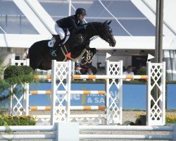 jumper Rock Warrior (Irish Sport Horse, 2017, from Casall)