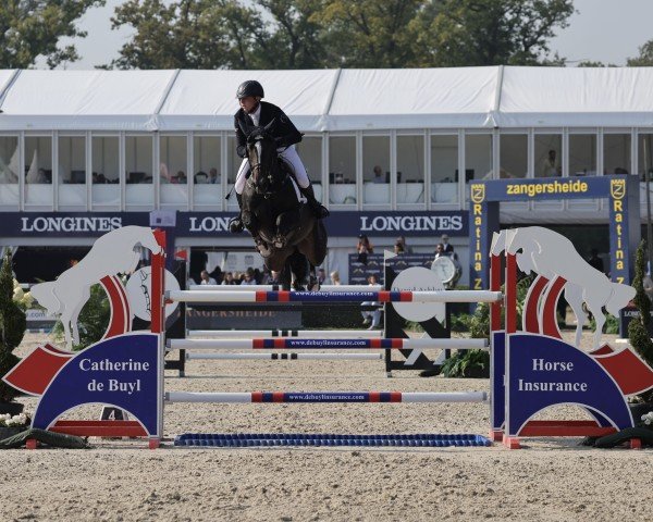 dressage horse Mendoza VDL (KWPN (Royal Dutch Sporthorse), 2017, from VDL Harley)