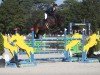 jumper Castlefield Duchess (Oldenburg show jumper, 2018, from Conthargos)