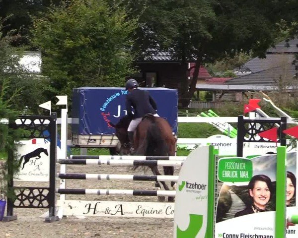 Reitturnier Mildstedt - Jumping Team Nord - 2024