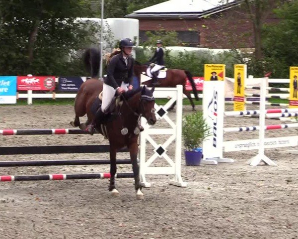 Reitturnier Mildstedt - Jumping Team Nord - 2024