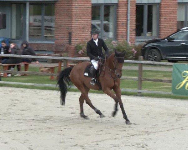 Reitturnier Westergellersen 2024