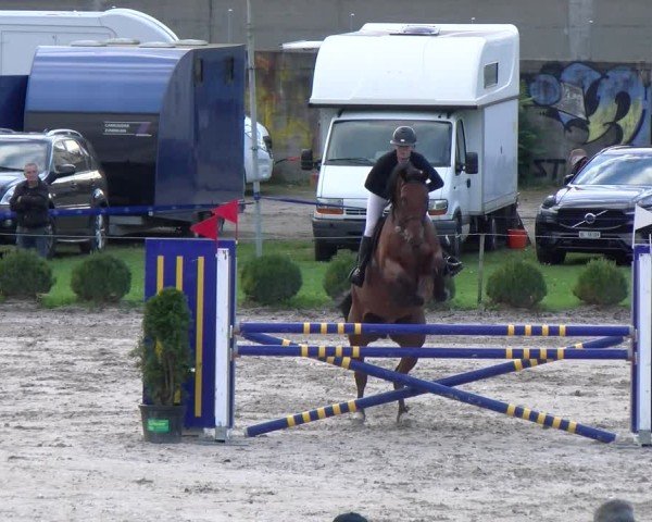 Reitturnier Basel 2024