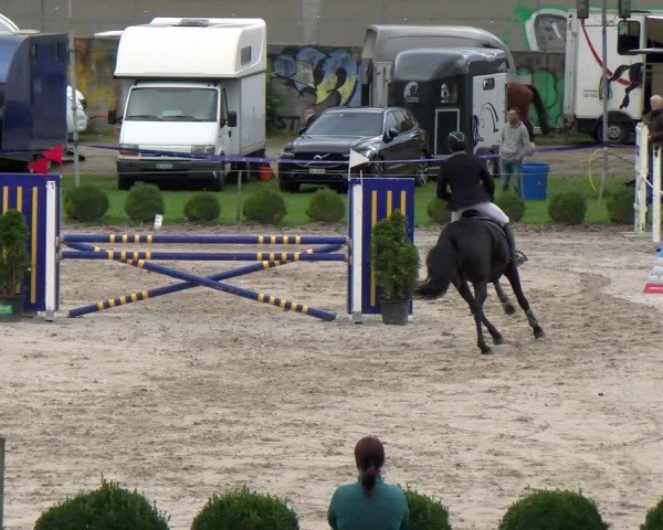 Reitturnier Basel 2024