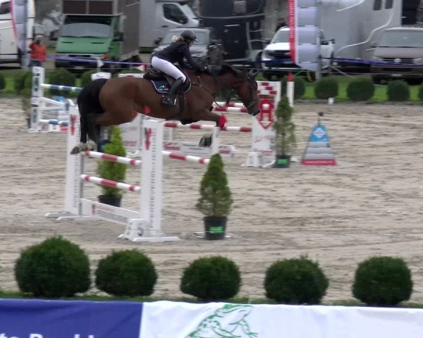 Reitturnier Basel 2024