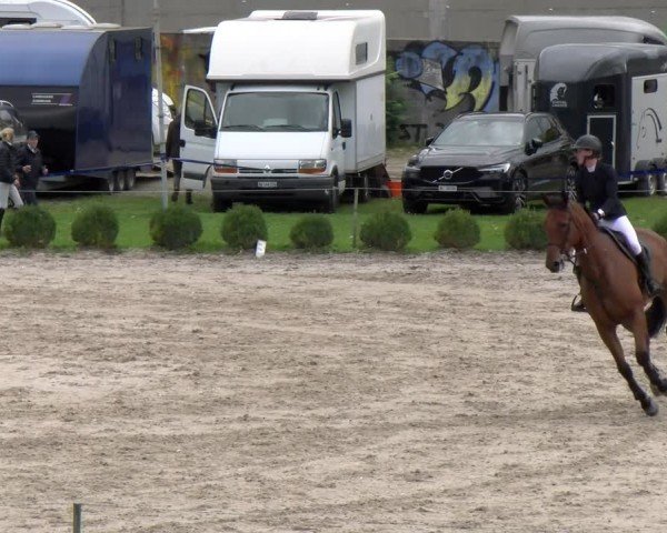 Reitturnier Basel 2024