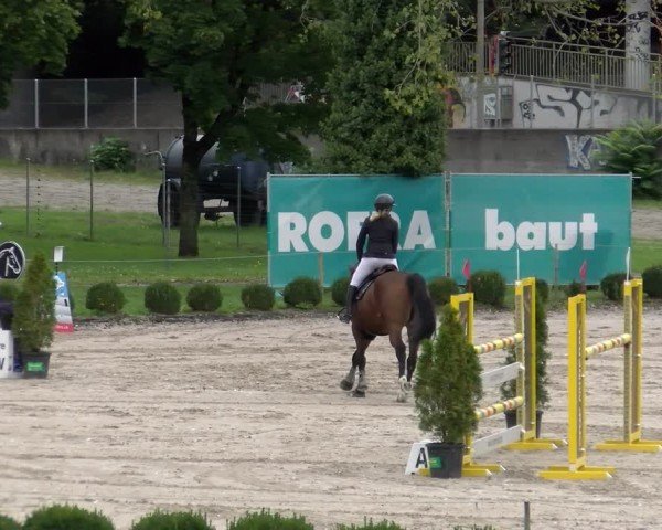 Reitturnier Basel 2024