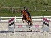 jumper Lunik Mission (Hanoverian, 2011, from Le Cou Cou)