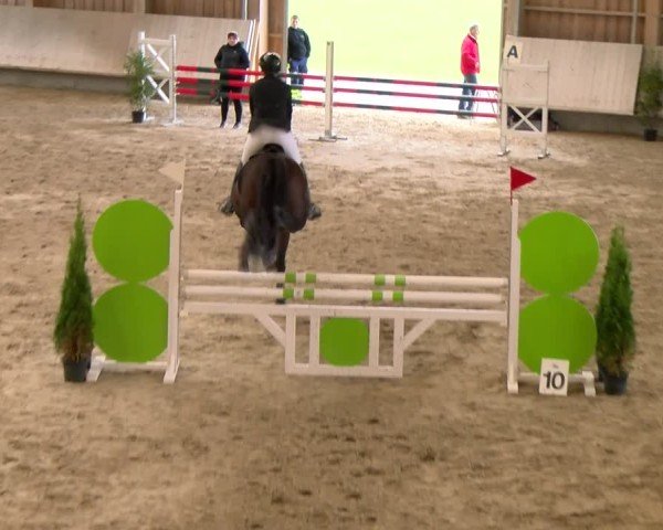 Reitturnier Winterthur 2024