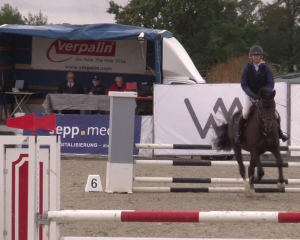 Reitturnier Poxdorf/Ofr 2024