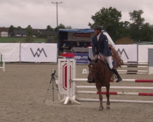 Reitturnier Poxdorf/Ofr 2024
