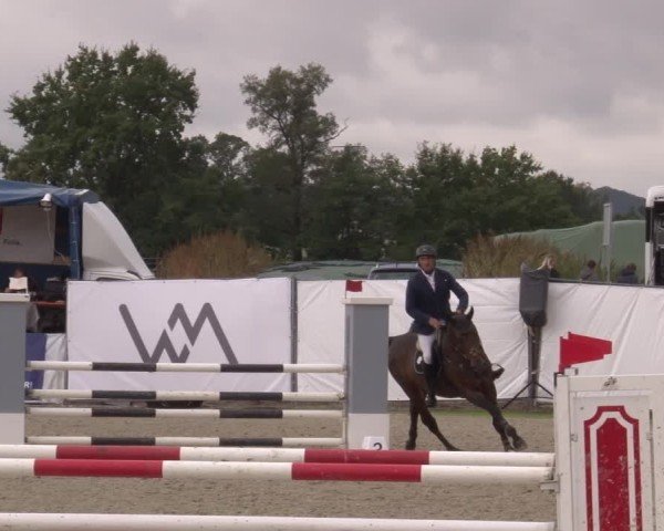 Reitturnier Poxdorf/Ofr 2024