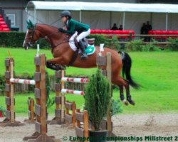 jumper Holly Castleforbes (Belgian Warmblood, 2007, from Pkz Contact van de Heffinck)