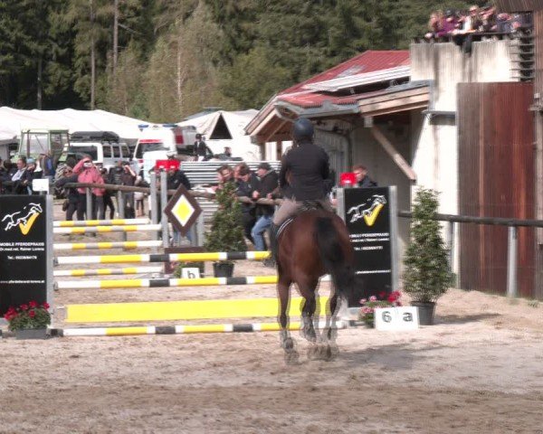 Reitturnier Igls 2024