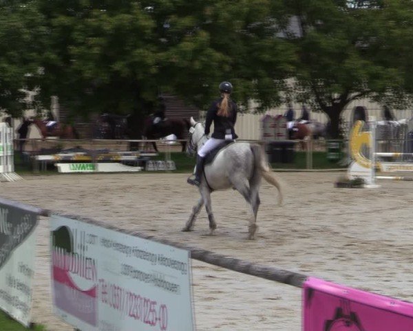 Reitturnier Springe 2024