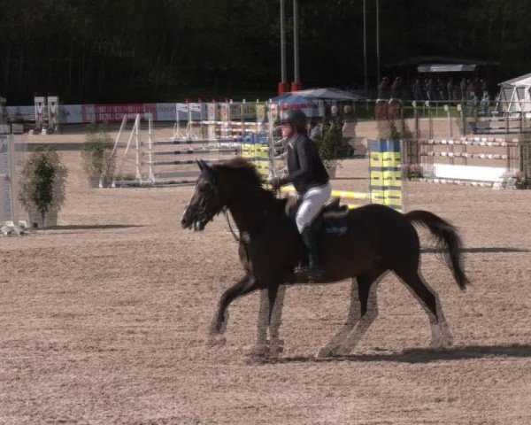 Reitturnier Igls 2024