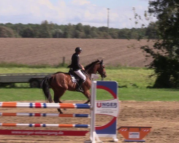 Reitturnier Baitz 2024