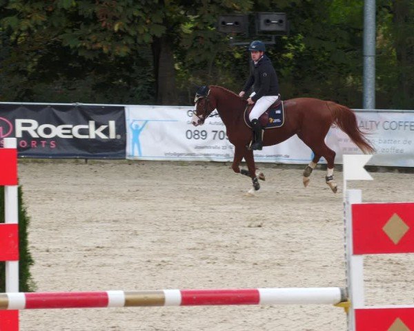 Reitturnier Karlsfeld/Obb. 2024