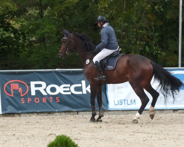 Reitturnier Karlsfeld/Obb. 2024