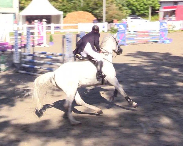Reitturnier Mildstedt - Jumping Team Nord - 2024