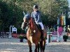 jumper Con Chelina (German Sport Horse, 2015, from Con Chello)