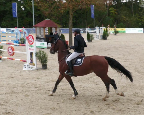 Reitturnier Karlsfeld/Obb. 2024