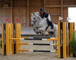 jumper Pepe 334 (Hanoverian, 2014, from Perpignon)