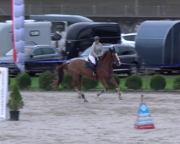 Reitturnier Basel 2024