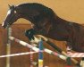 stallion Caretino K (Hessian Warmblood, 1997, from Caretino)