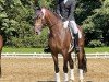 dressage horse MDM Inflagranti (Oldenburg, 2018, from Asgard's Ibiza)