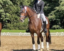 dressage horse MDM Inflagranti (Oldenburg, 2018, from Asgard's Ibiza)